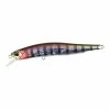 Beste salg 🥰 Produkter DUO Realis Minnow 80SP (Prism Gill) ❤️