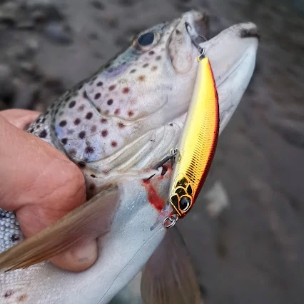 Promo ⌛ Produkter DUO Spearhead Ryuki 60S (Metal Red Gold) 🎉 2 Promo ⌛ Produkter DUO Spearhead Ryuki 60S (Metal Red Gold) 🎉 - Bilde 2