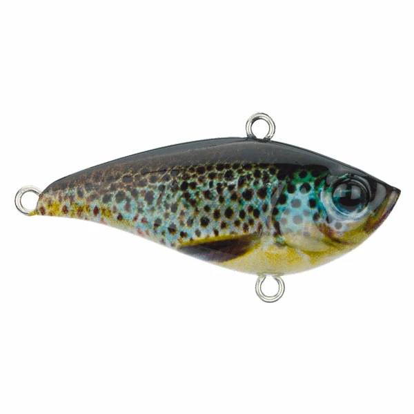 Beste anmeldelser av 🎉 Produkter Prey Vibro Target 5cm 9 Gr (Brown Trout) 🔔 1 Beste anmeldelser av 🎉 Produkter Prey Vibro Target 5cm 9 Gr (Brown Trout) 🔔
